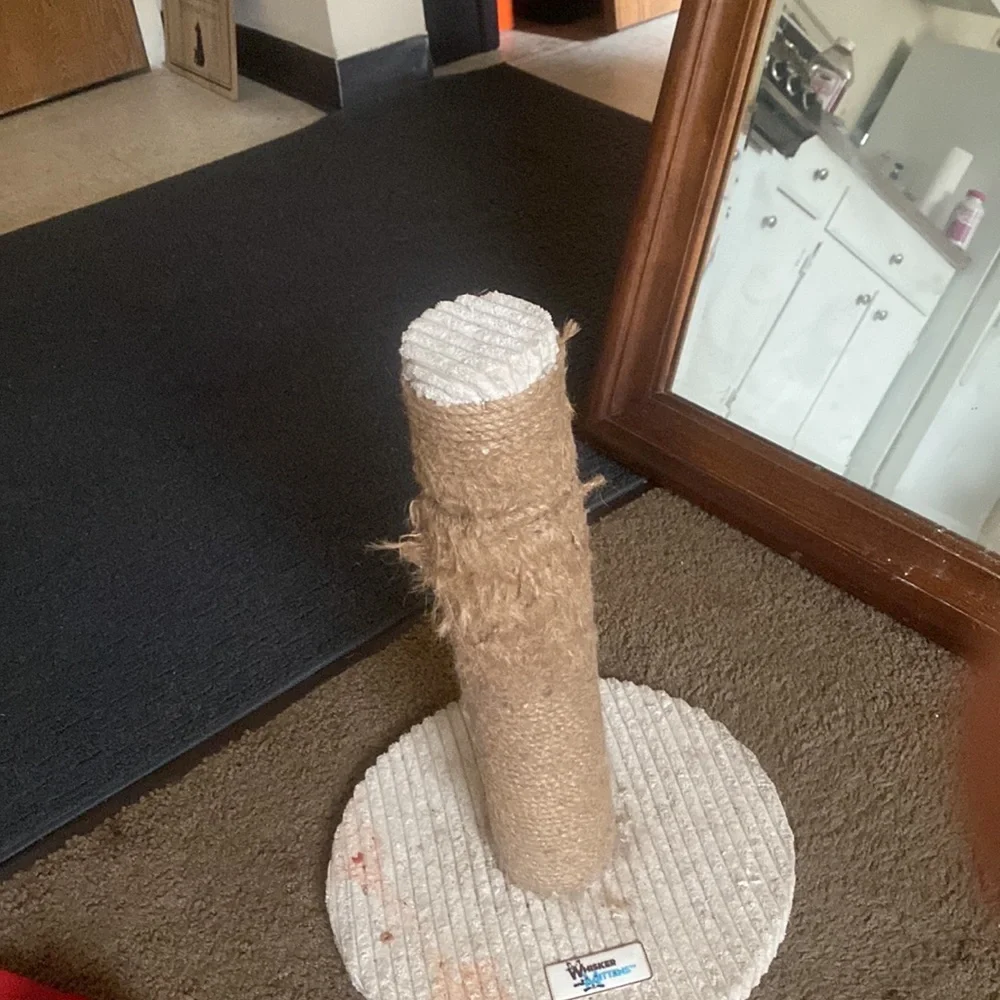 Cat scratcher very cute smells great
